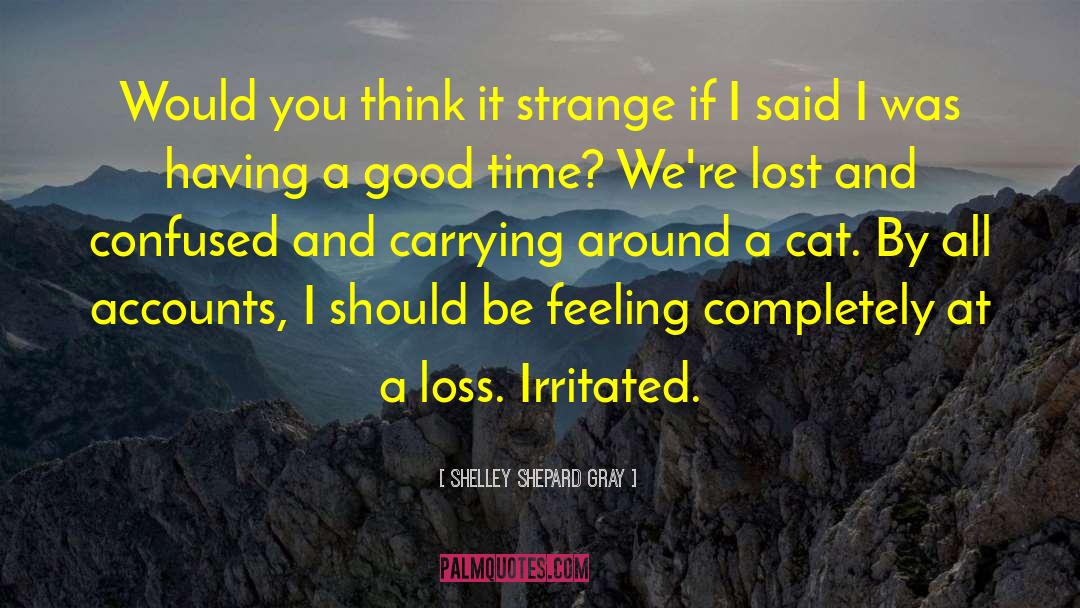 Shelley Shepard Gray Quotes: Would you think it strange