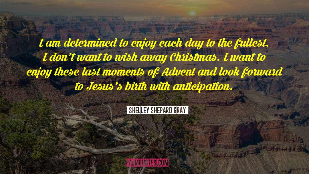 Shelley Shepard Gray Quotes: I am determined to enjoy