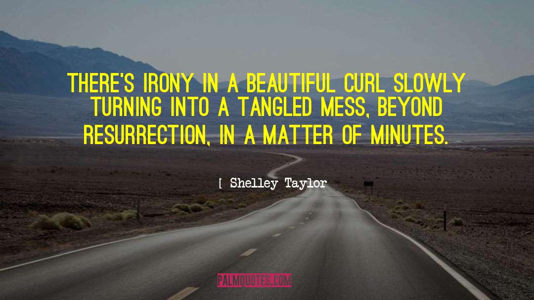 Shelley  Taylor Quotes: There's irony in a beautiful