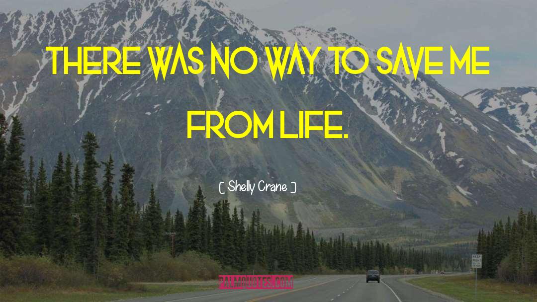 Shelly Crane Quotes: There was no way to