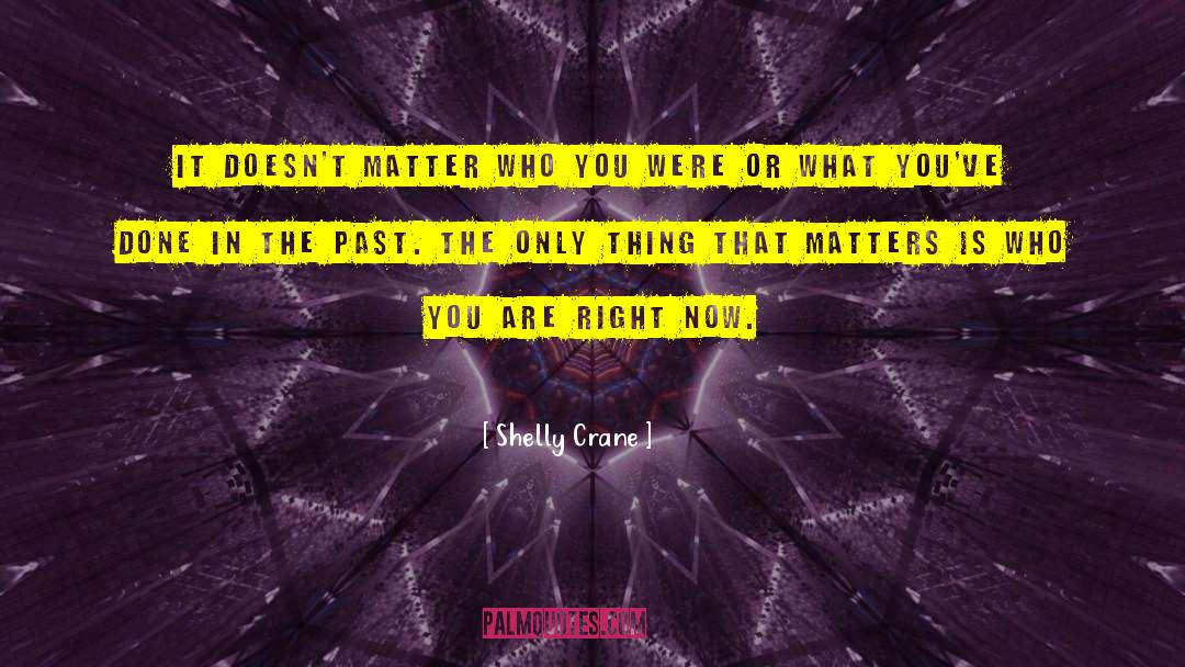 Shelly Crane Quotes: It doesn't matter who you