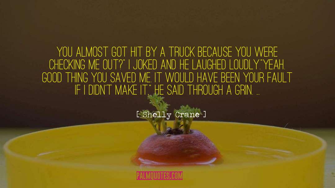 Shelly Crane Quotes: You almost got hit by
