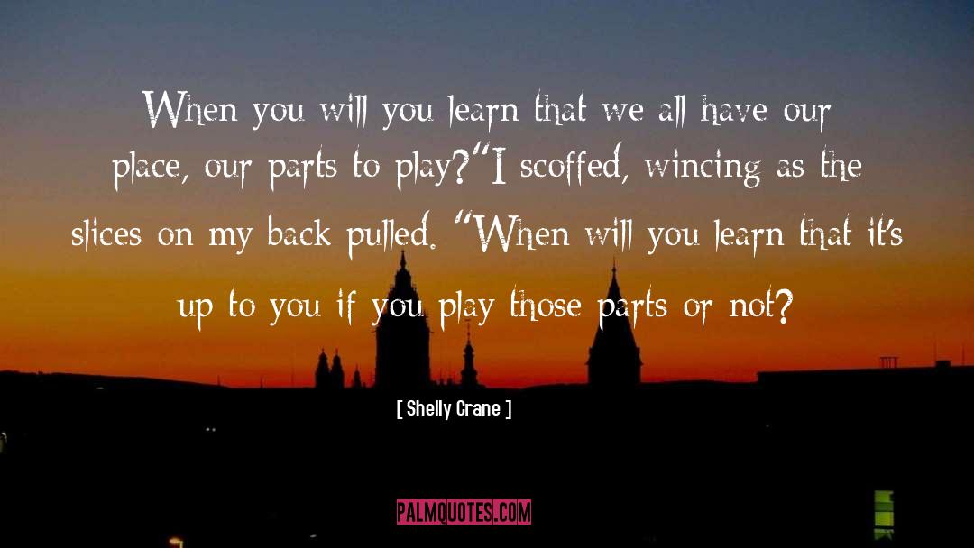 Shelly Crane Quotes: When you will you learn