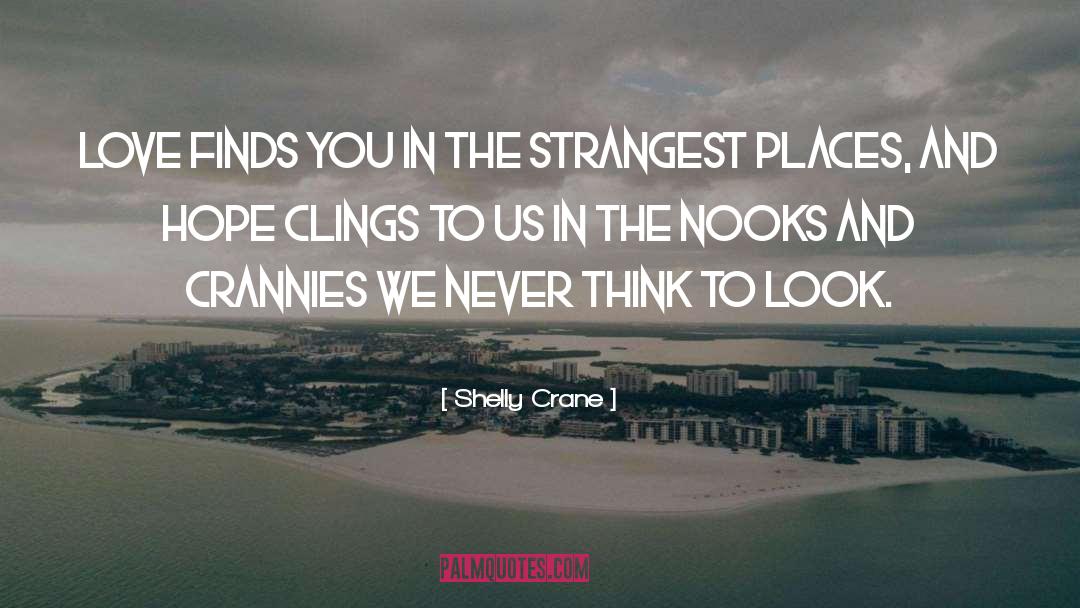 Shelly Crane Quotes: Love finds you in the