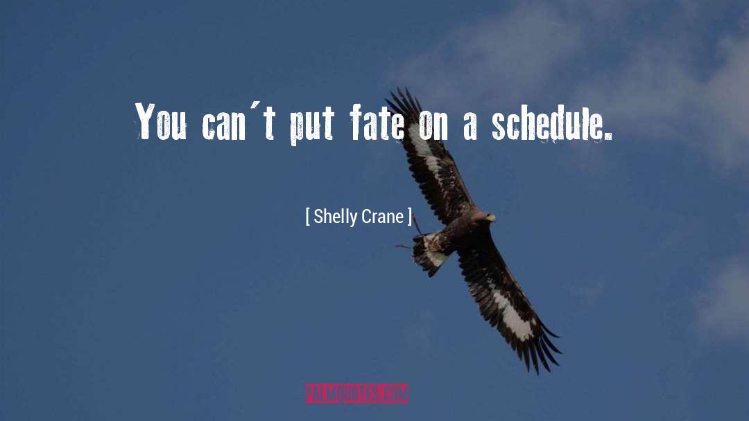 Shelly Crane Quotes: You can't put fate on