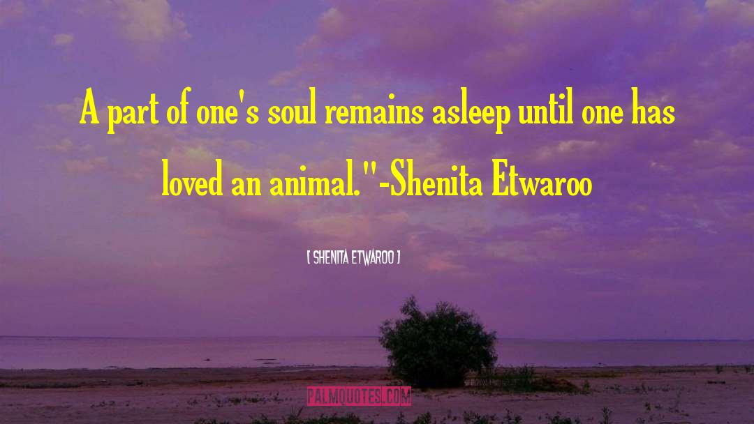 Shenita Etwaroo Quotes: A part of one's soul