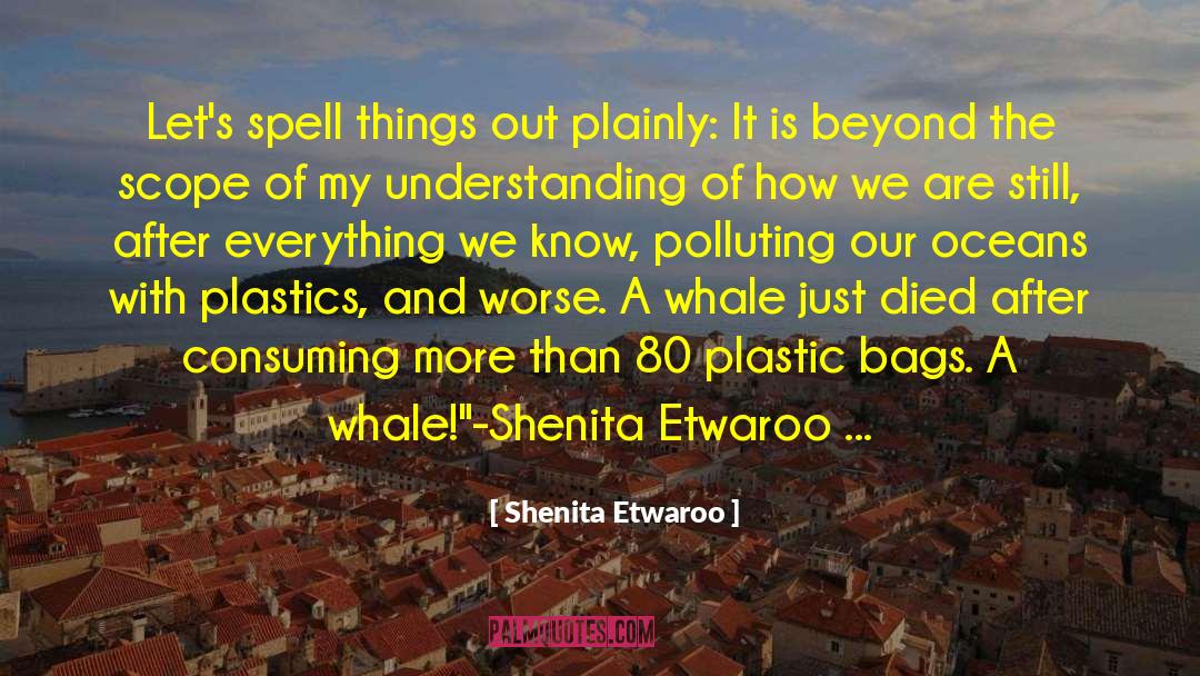 Shenita Etwaroo Quotes: Let's spell things out plainly: