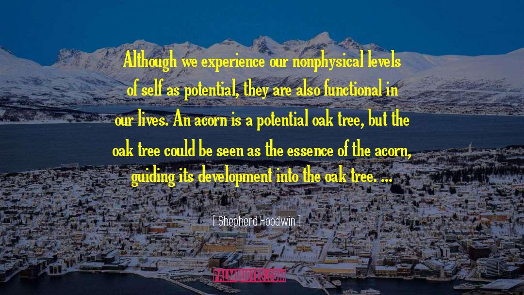 Shepherd Hoodwin Quotes: Although we experience our nonphysical