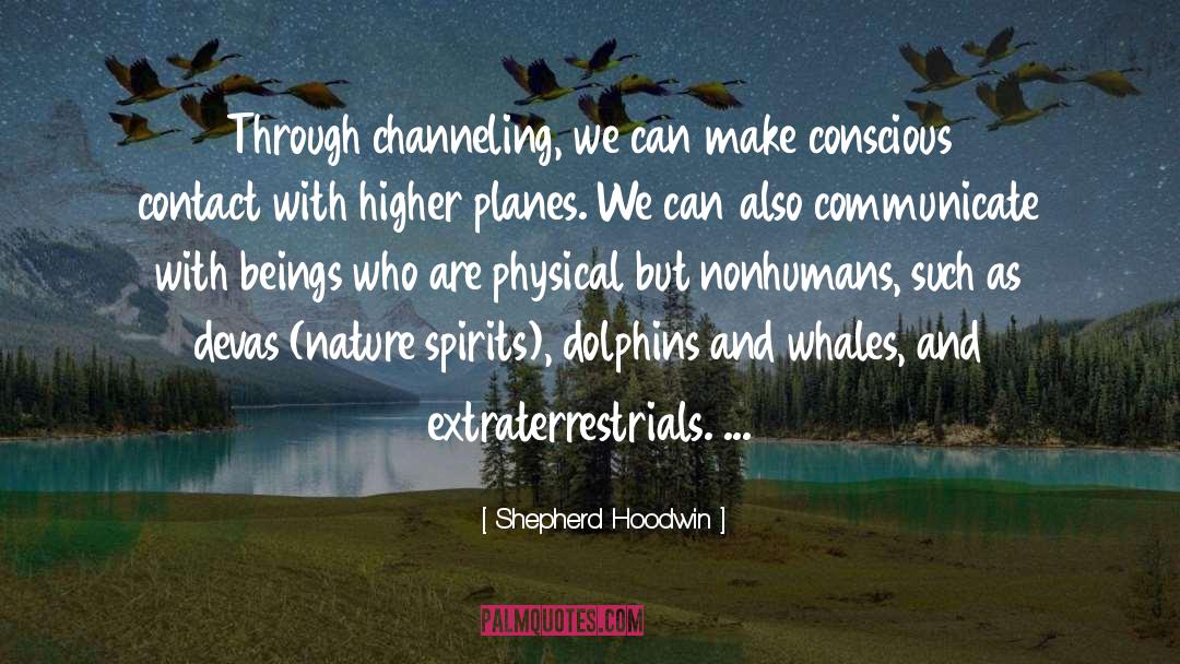 Shepherd Hoodwin Quotes: Through channeling, we can make