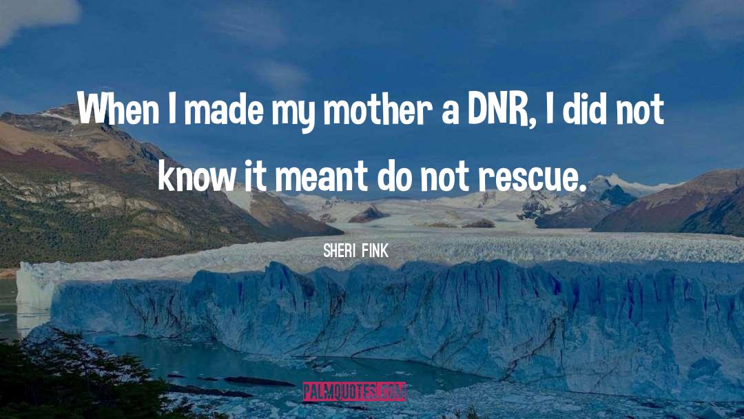 Sheri Fink Quotes: When I made my mother