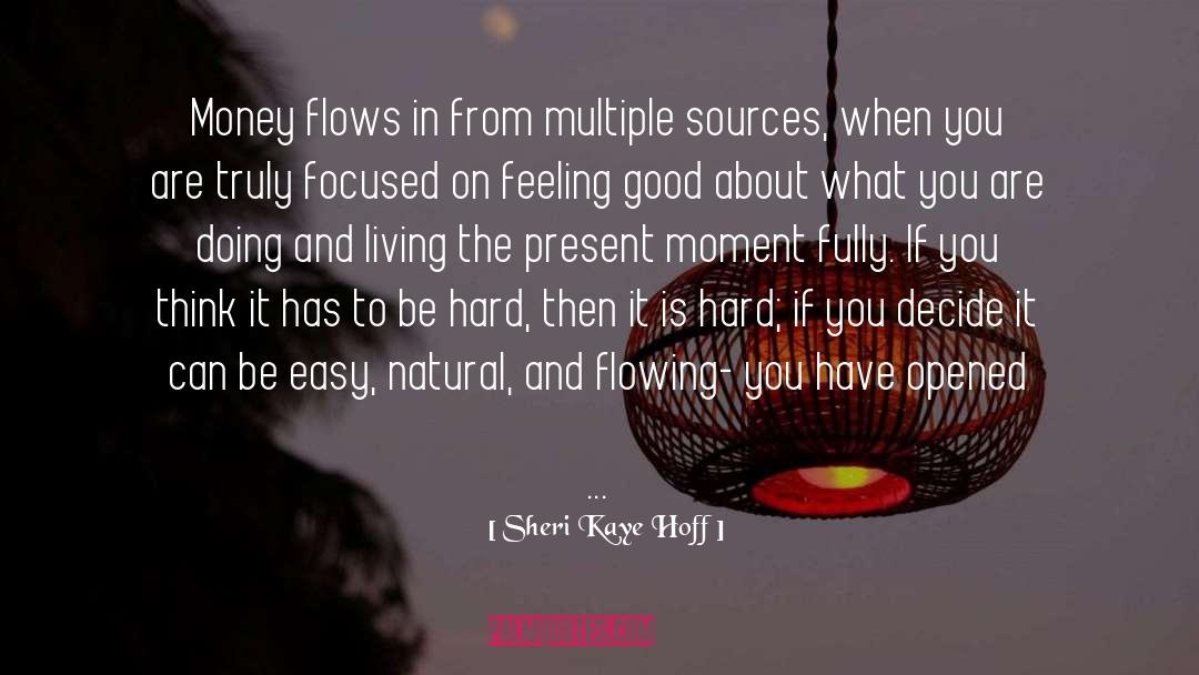 Sheri Kaye Hoff Quotes: Money flows in from multiple