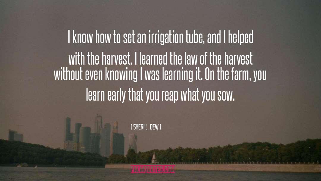 Sheri L. Dew Quotes: I know how to set