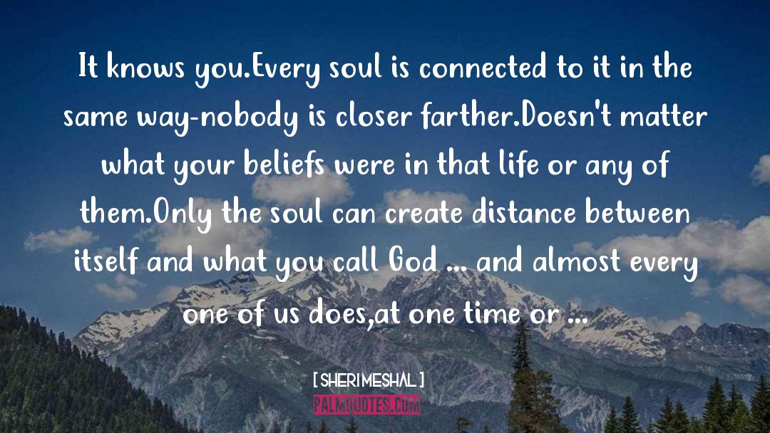 Sheri Meshal Quotes: It knows you.Every soul is
