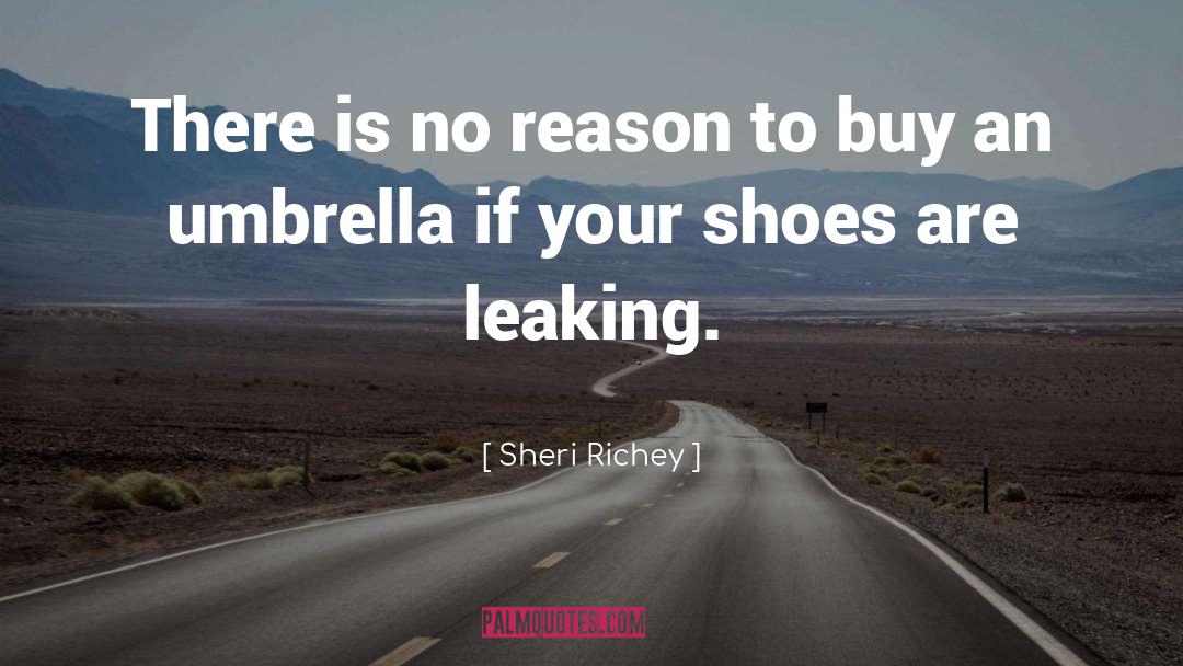 Sheri Richey Quotes: There is no reason to