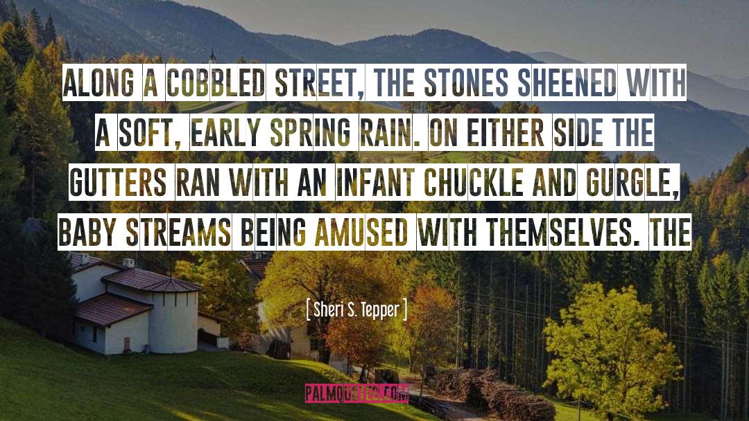 Sheri S. Tepper Quotes: along a cobbled street, the