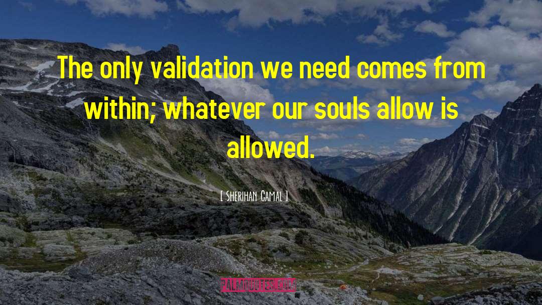 Sherihan Gamal Quotes: The only validation we need