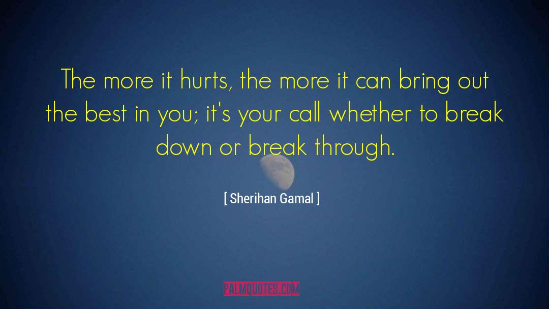 Sherihan Gamal Quotes: The more it hurts, the