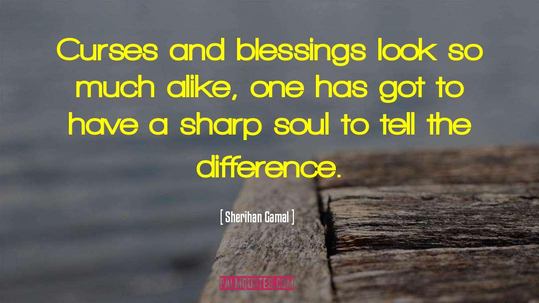 Sherihan Gamal Quotes: Curses and blessings look so