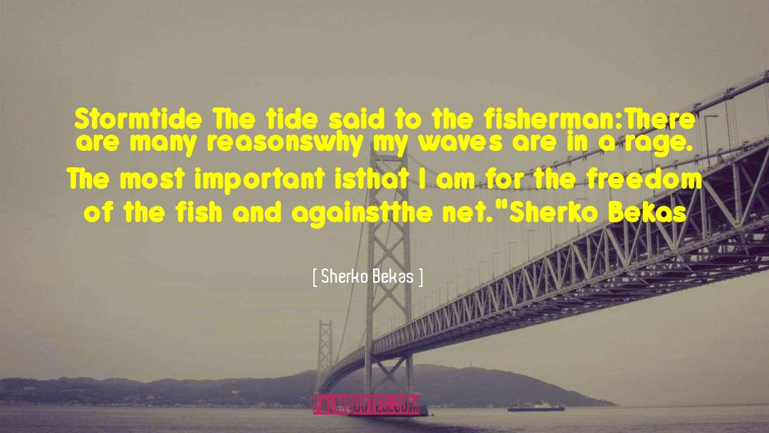 Sherko Bekas Quotes: Stormtide<br /> <br />The tide