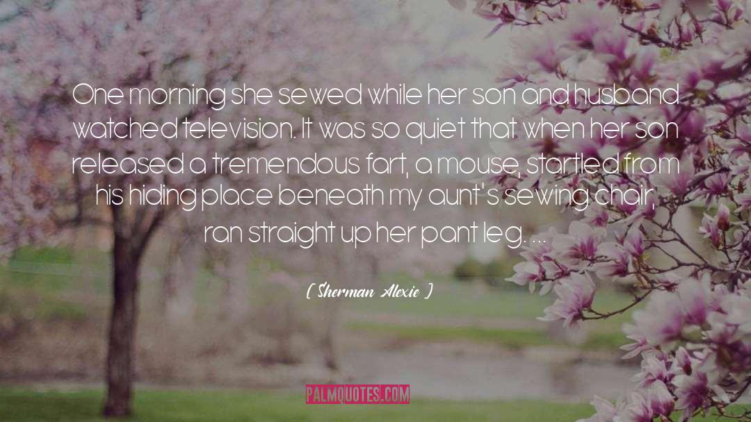 Sherman Alexie Quotes: One morning she sewed while