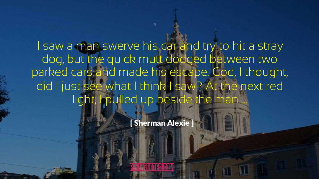 Sherman Alexie Quotes: I saw a man swerve