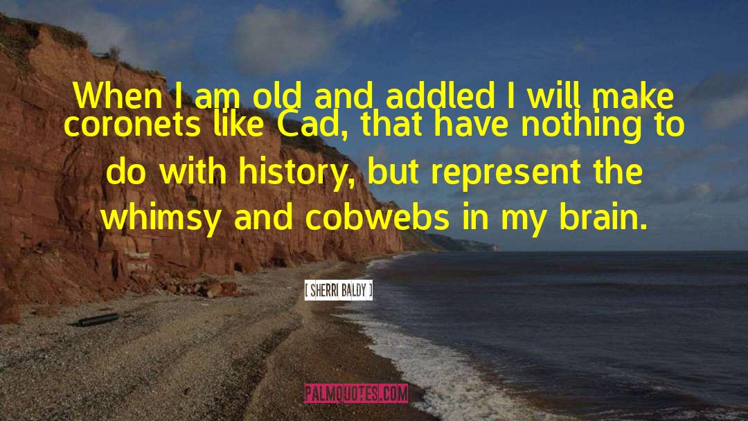 Sherri Baldy Quotes: When I am old and