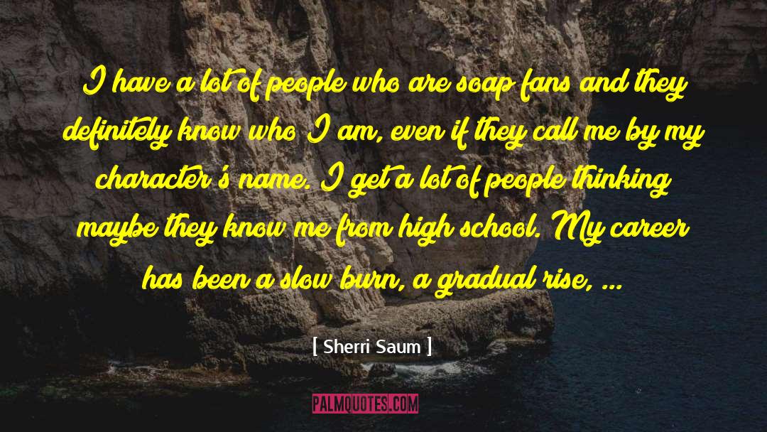Sherri Saum Quotes: I have a lot of