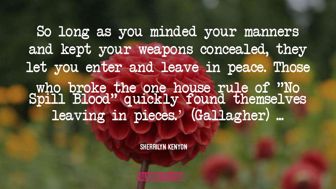 Sherrilyn Kenyon Quotes: So long as you minded