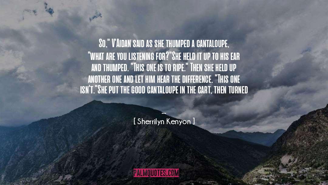 Sherrilyn Kenyon Quotes: So,