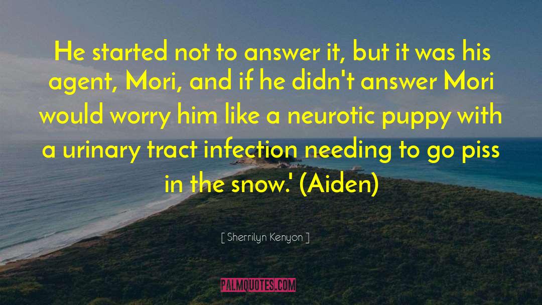 Sherrilyn Kenyon Quotes: He started not to answer