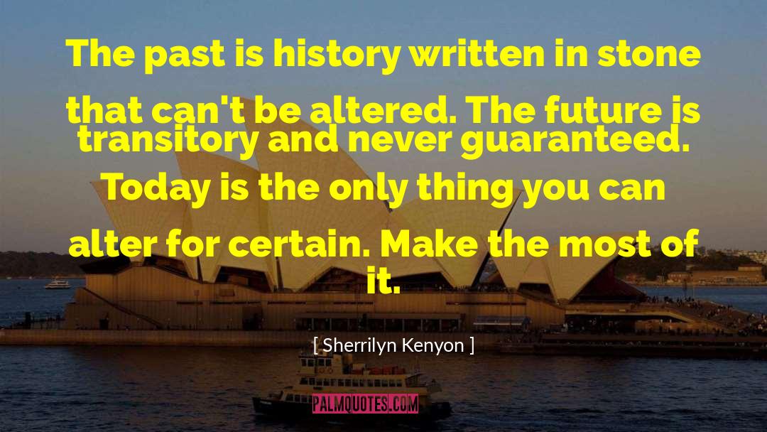 Sherrilyn Kenyon Quotes: The past is history written