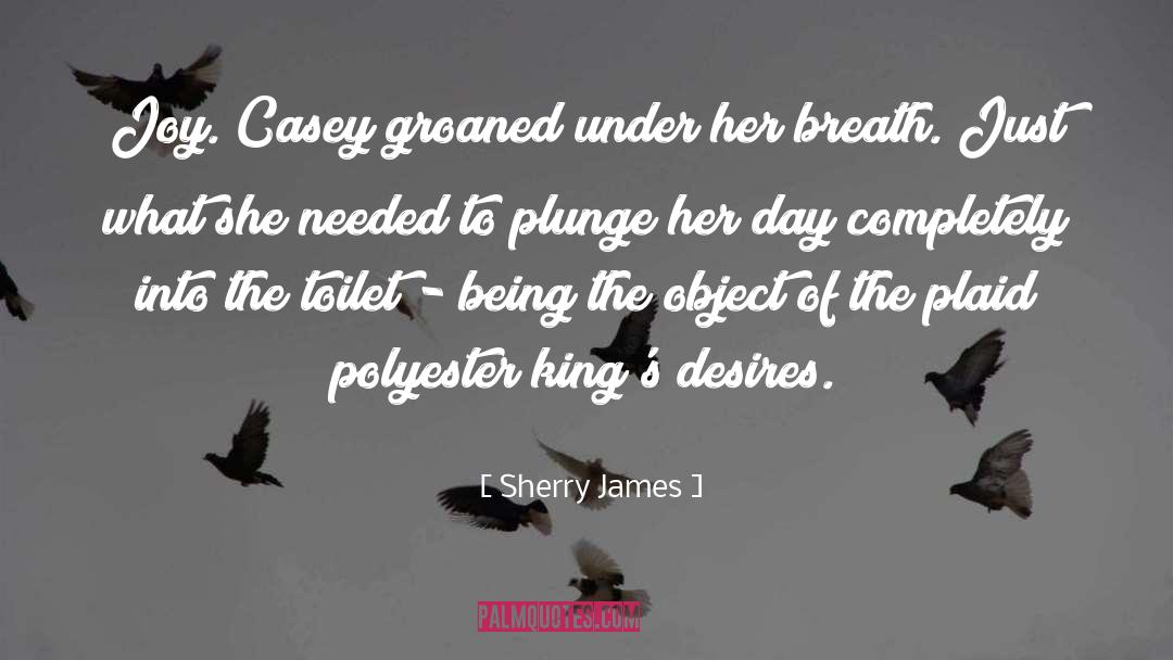 Sherry James Quotes: Joy. Casey groaned under her