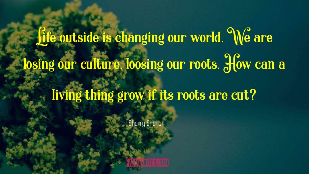 Sherry Shahan Quotes: Life outside is changing our
