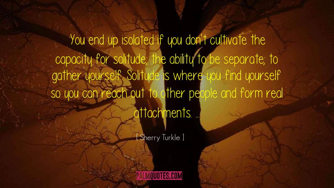 Sherry Turkle Quotes: You end up isolated if