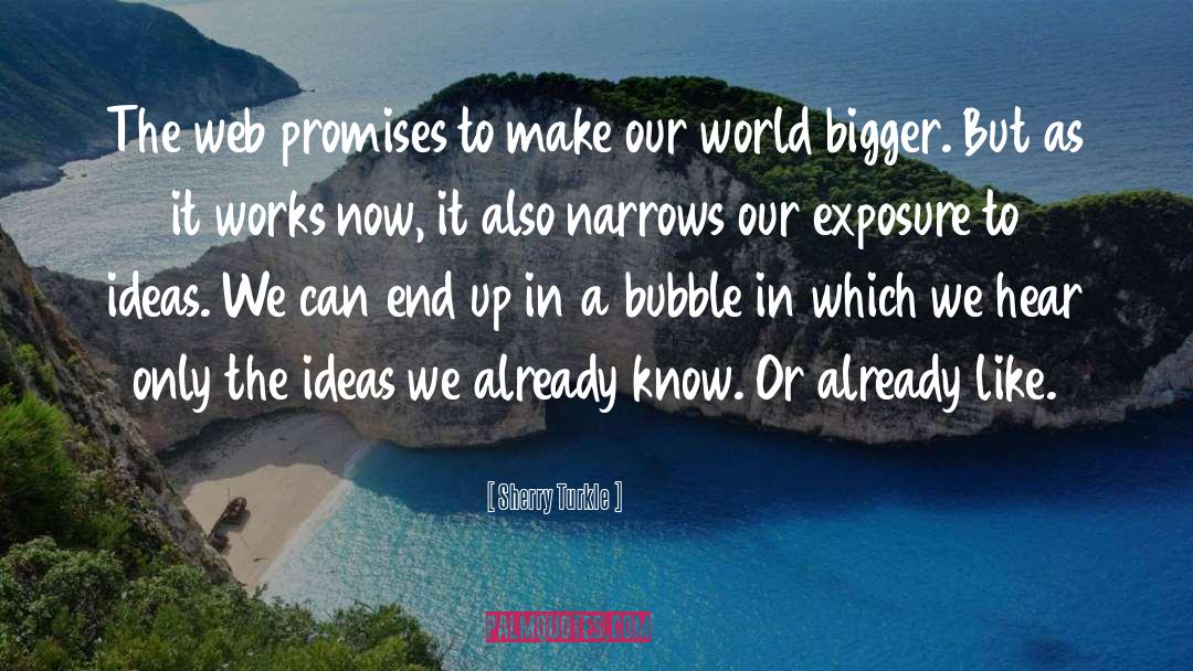 Sherry Turkle Quotes: The web promises to make