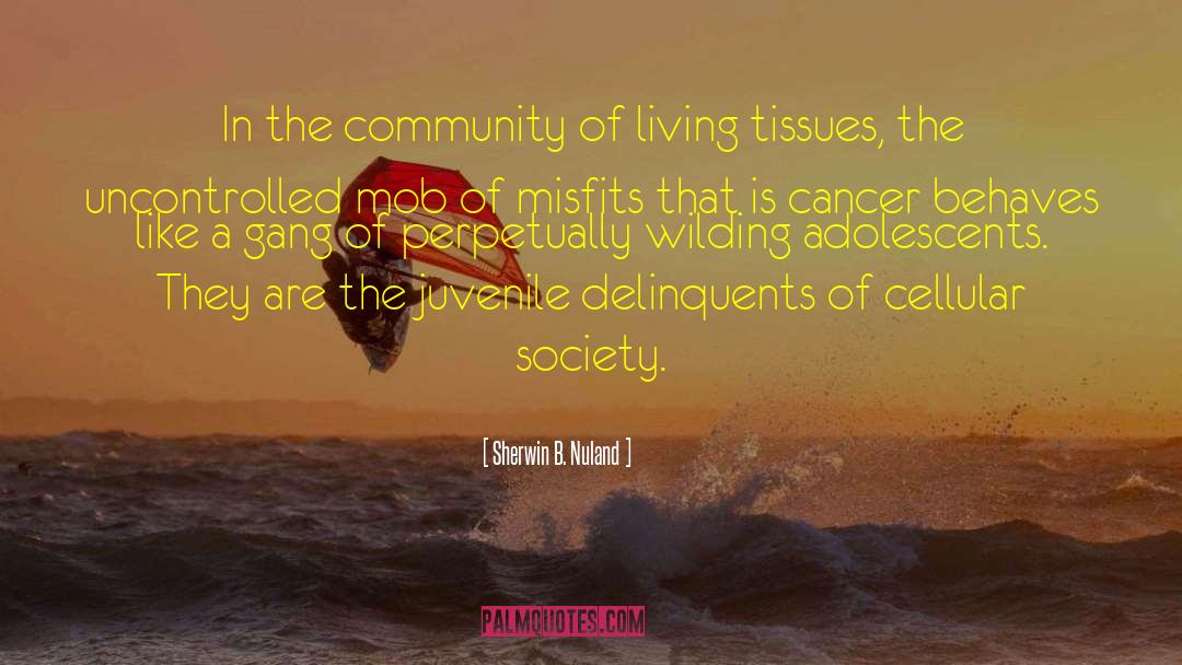 Sherwin B. Nuland Quotes: In the community of living