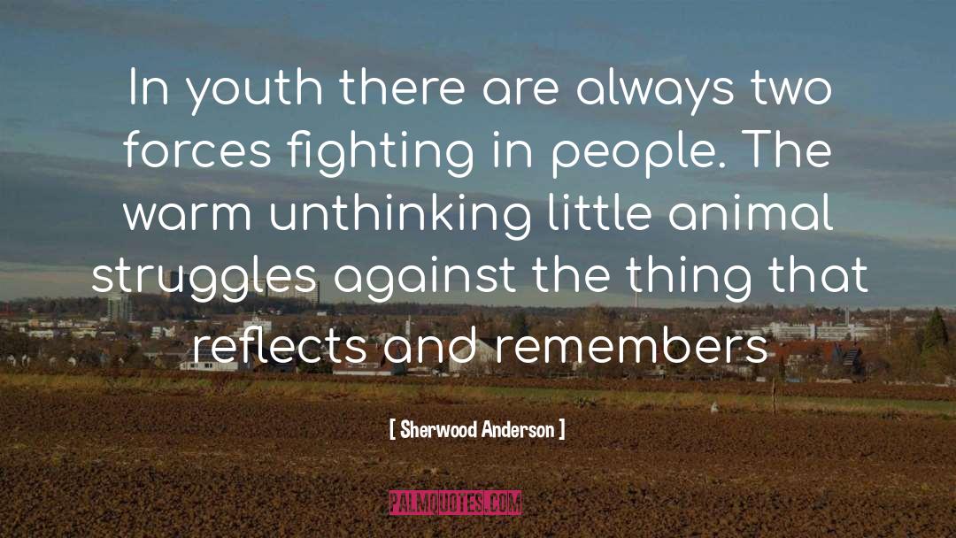 Sherwood Anderson Quotes: In youth there are always