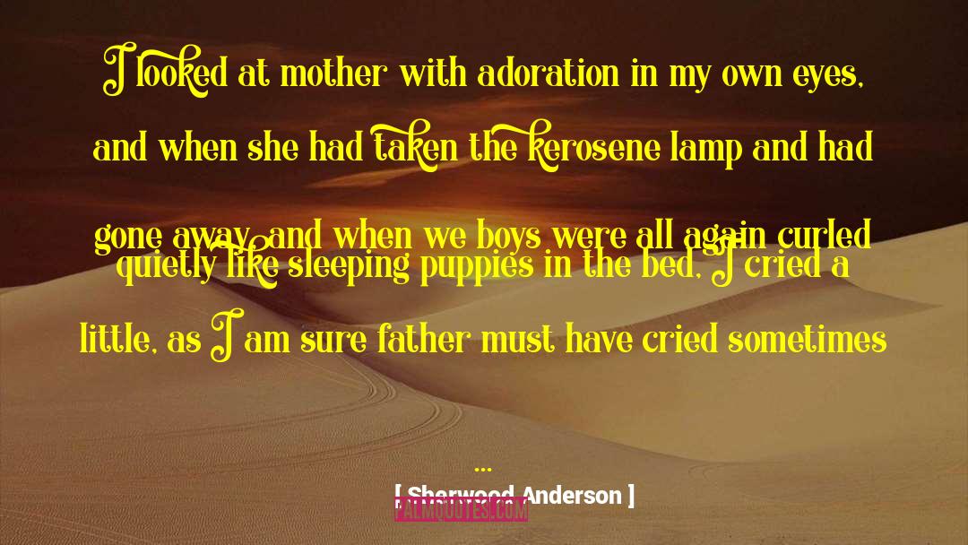 Sherwood Anderson Quotes: I looked at mother with