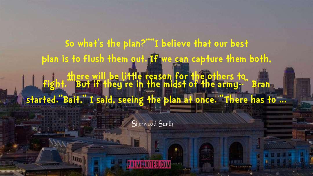 Sherwood Smith Quotes: So what's the plan?