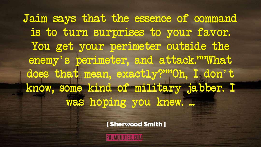 Sherwood Smith Quotes: Jaim says that the essence