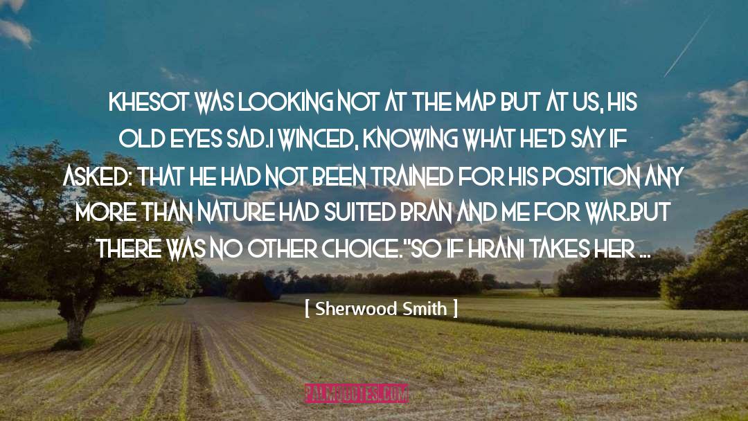 Sherwood Smith Quotes: Khesot was looking not at