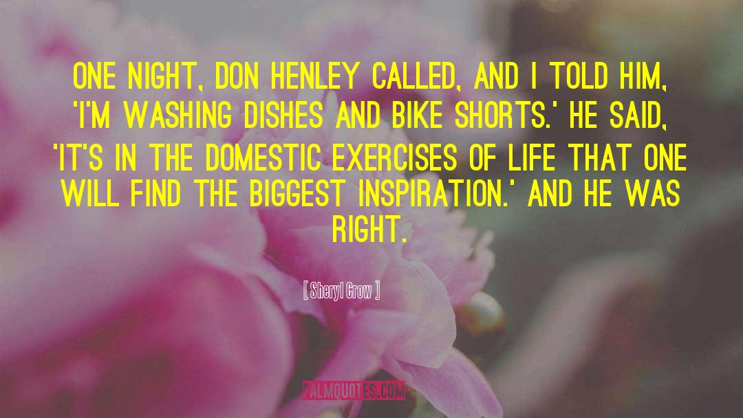 Sheryl Crow Quotes: One night, Don Henley called,