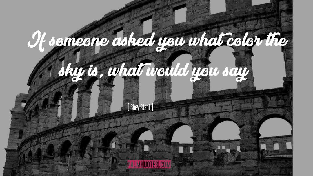 Shey Stahl Quotes: If someone asked you what