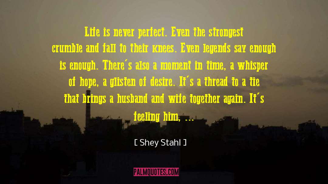 Shey Stahl Quotes: Life is never perfect. Even