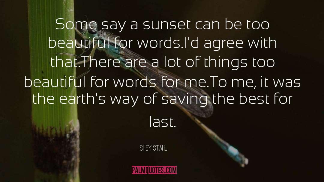 Shey Stahl Quotes: Some say a sunset can