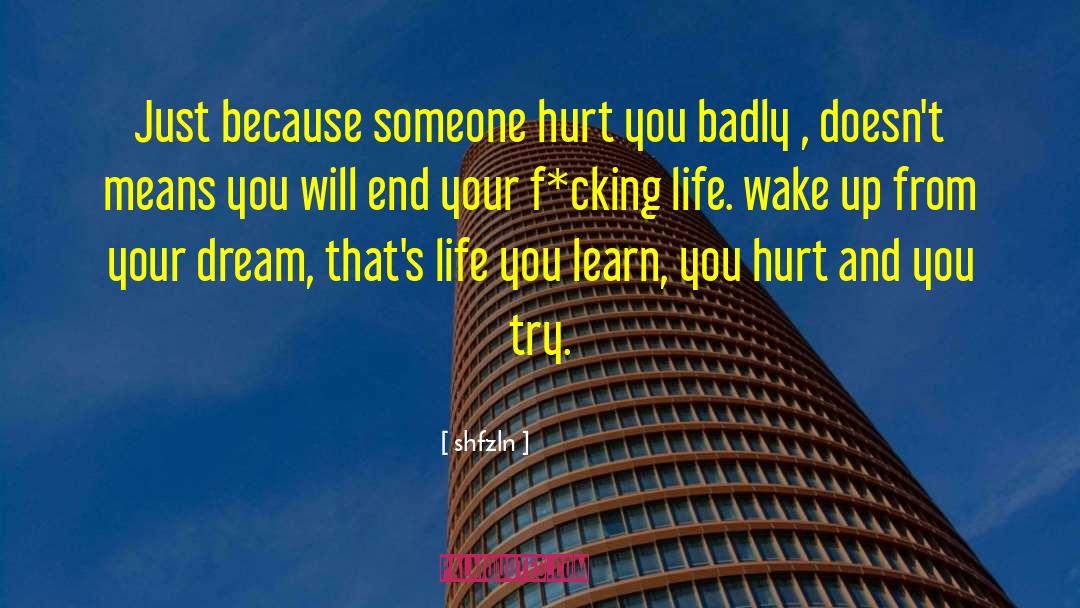 Shfzln Quotes: Just because someone hurt you