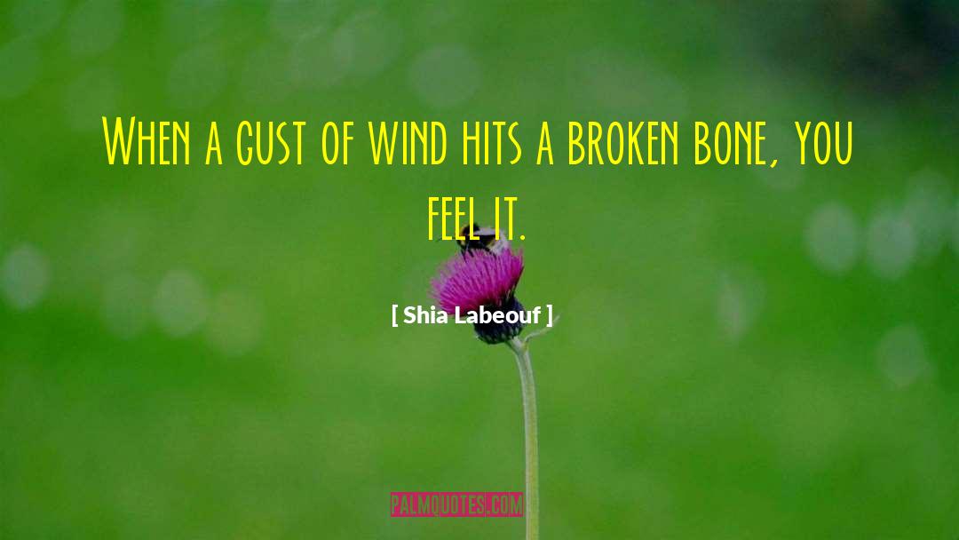 Shia Labeouf Quotes: When a gust of wind