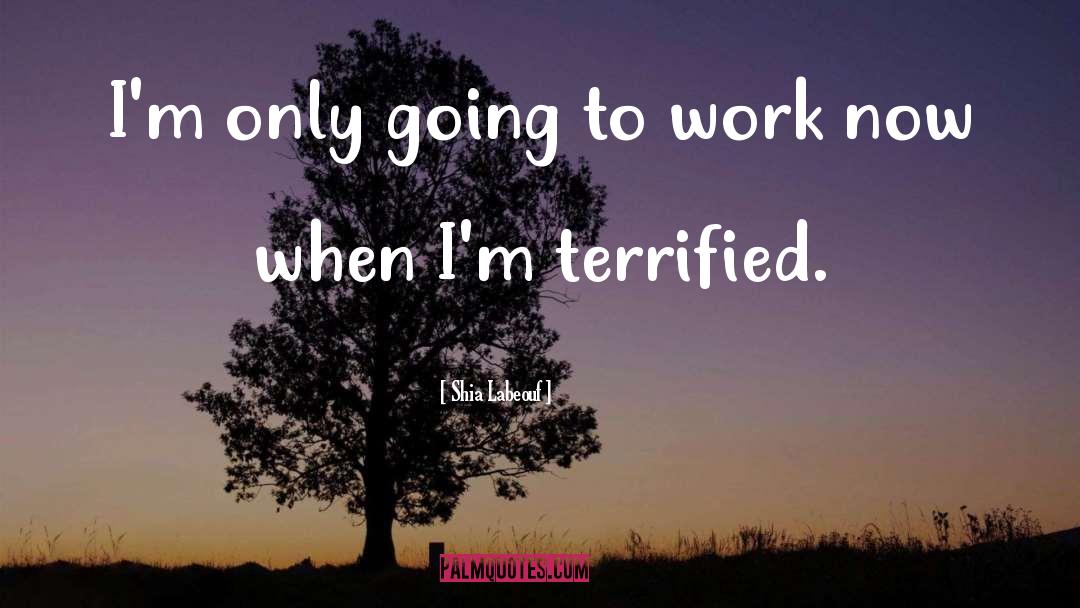 Shia Labeouf Quotes: I'm only going to work
