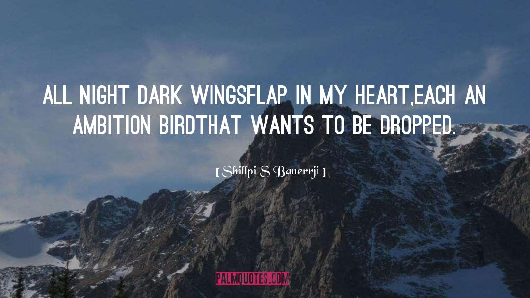 Shillpi S Banerrji Quotes: All night dark wings<br />flap