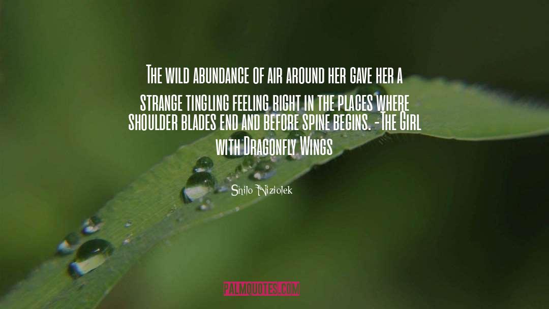 Shilo Niziolek Quotes: The wild abundance of air